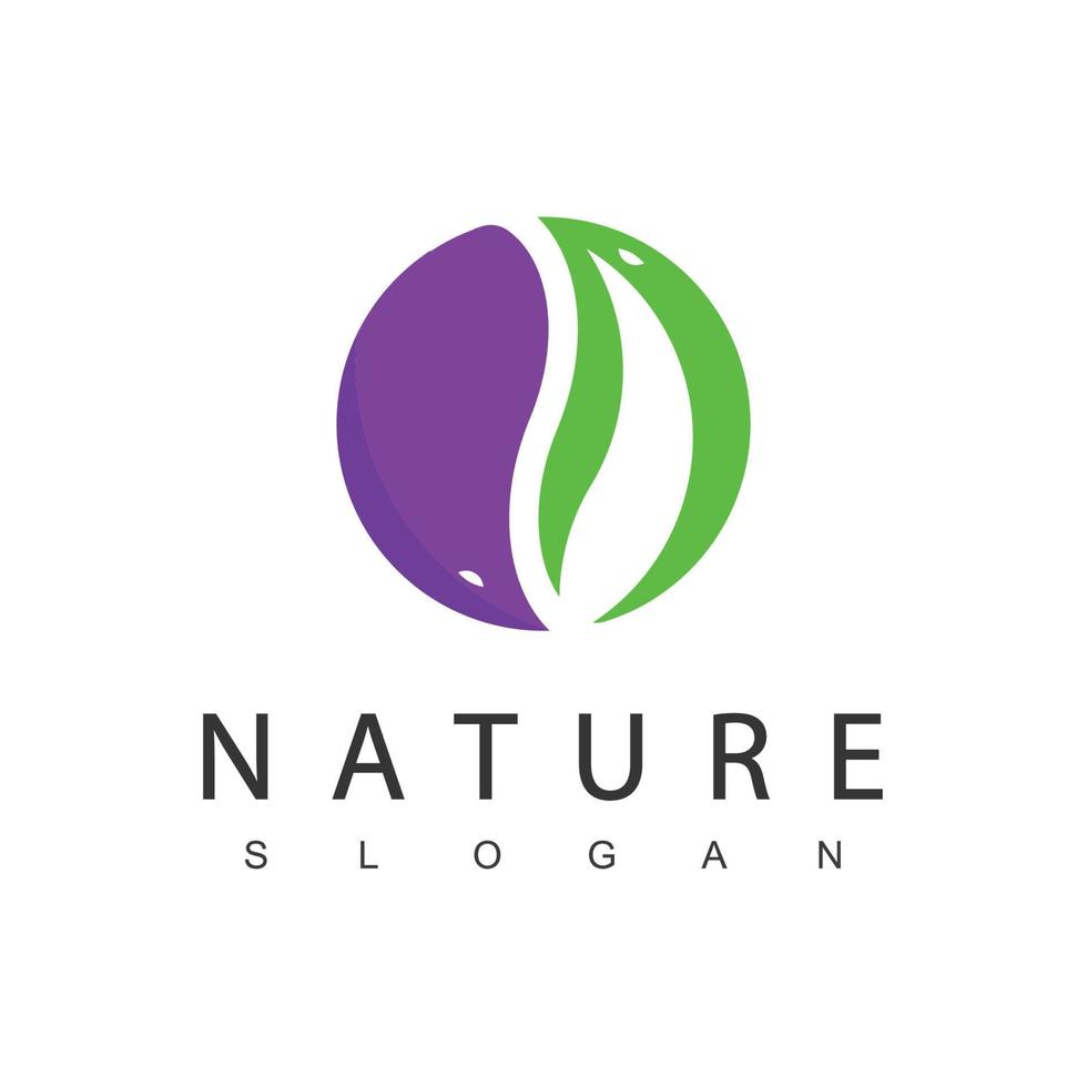 natuur logo ontwerp sjabloon, schoonheid concept gebruik makend van blad icoon voor spa, huidverzorging, en kunstmatig vector