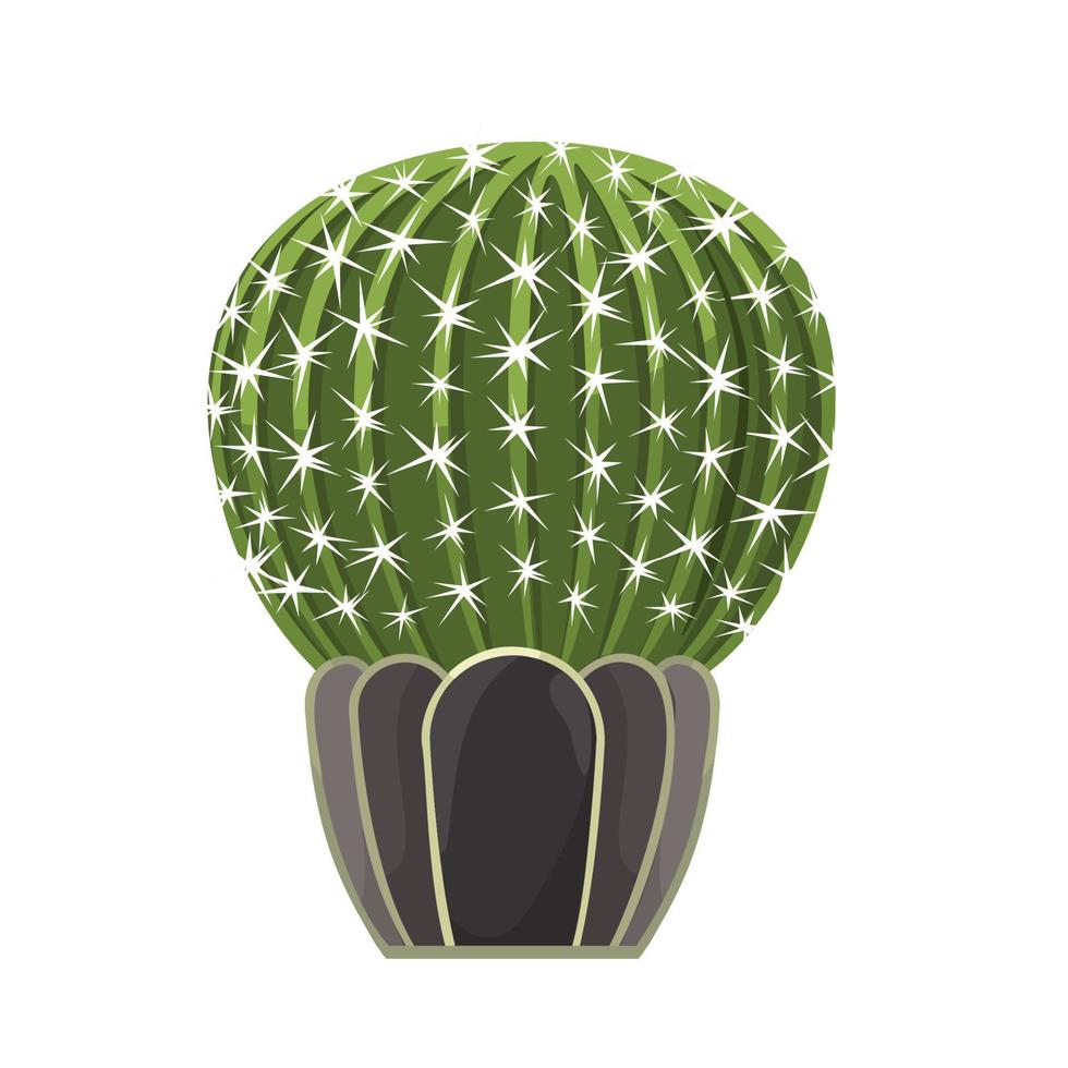 cactus in pot vector