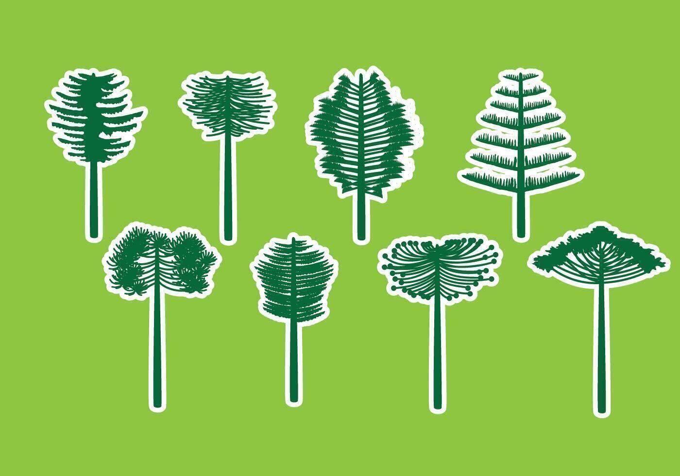 Araucaria Pictogrammen vector