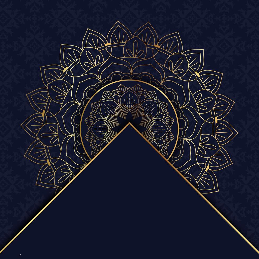 gouden elegante mandala vector