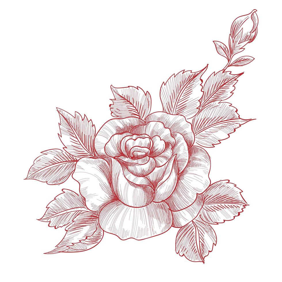 hand tekenen en schets rozen bloemdessin vector