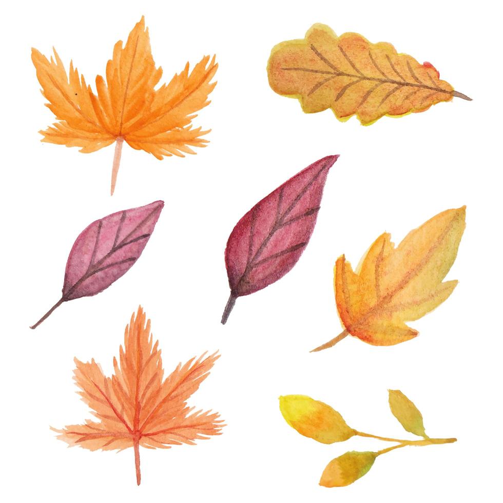 handgeschilderde herfstblad aquarel set vector