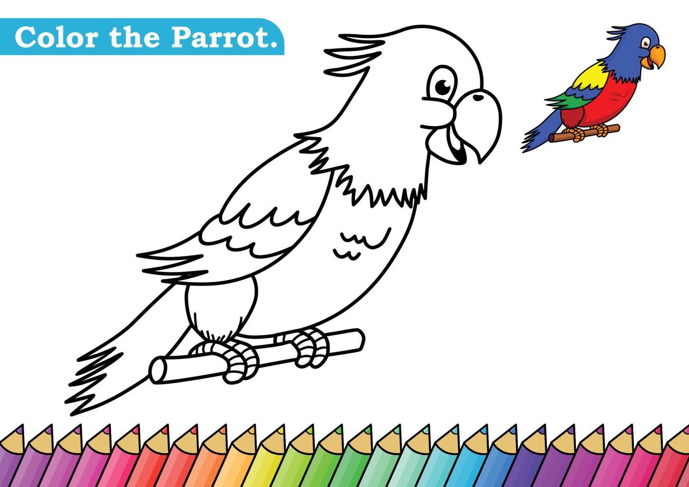 kleur bladzijde voor papegaai vector illustratie. kleuterschool kinderen kleur Pagina's werkzaamheid werkblad met schattig kleurrijk papegaai tekenfilm. papegaai geïsoleerd Aan wit achtergrond voor kleur boeken.