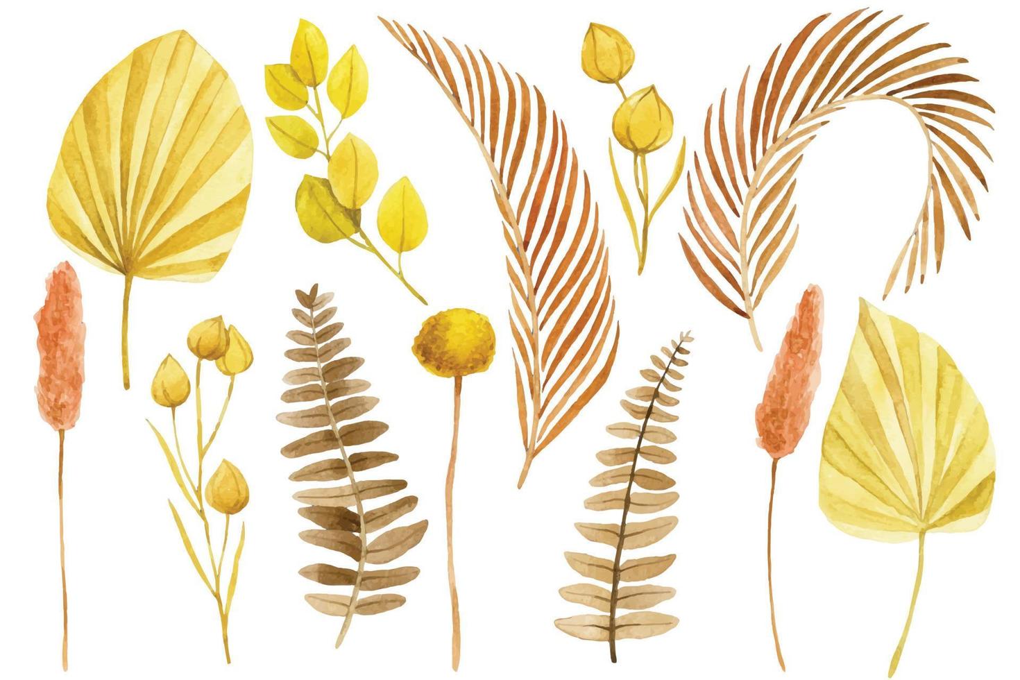 waterverf tekening, reeks van droog tropisch bladeren in boho stijl. droog bloemen, palm bladeren, varens vector