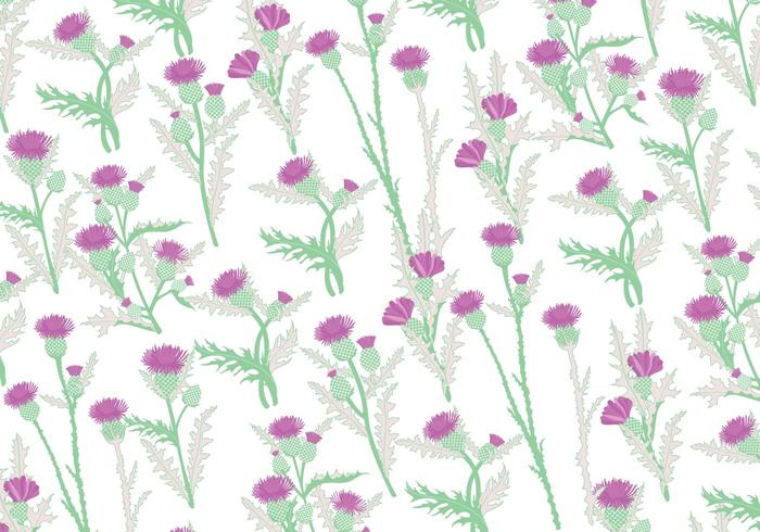 Thistle Patroon Vector