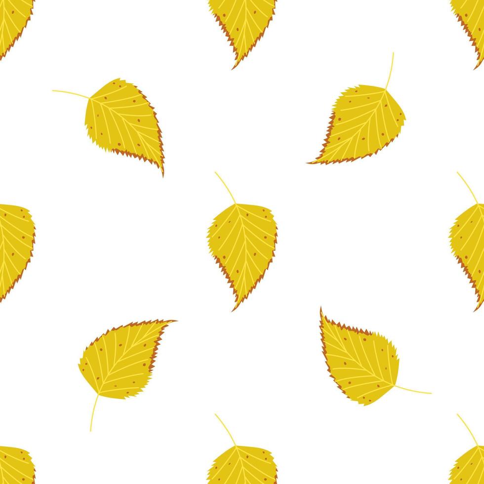 naadloos vector patroon van herfst berk bladeren.