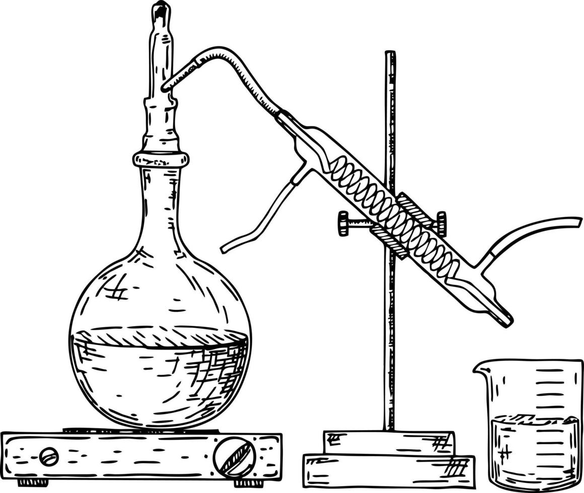 distilleerder. fysiek apparaat dat is gebruikt in chemie en fysica lessen, welke serveert naar verdampen een vloeistof met volgend koeling. test buizen, experimenten, chemisch processen vector