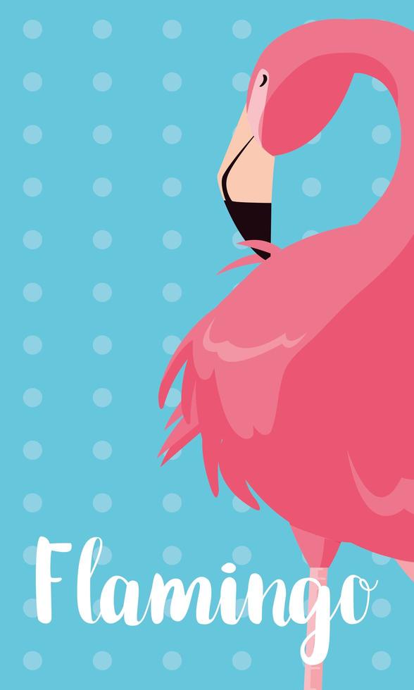 mooie flamingo vogelstandaard vector