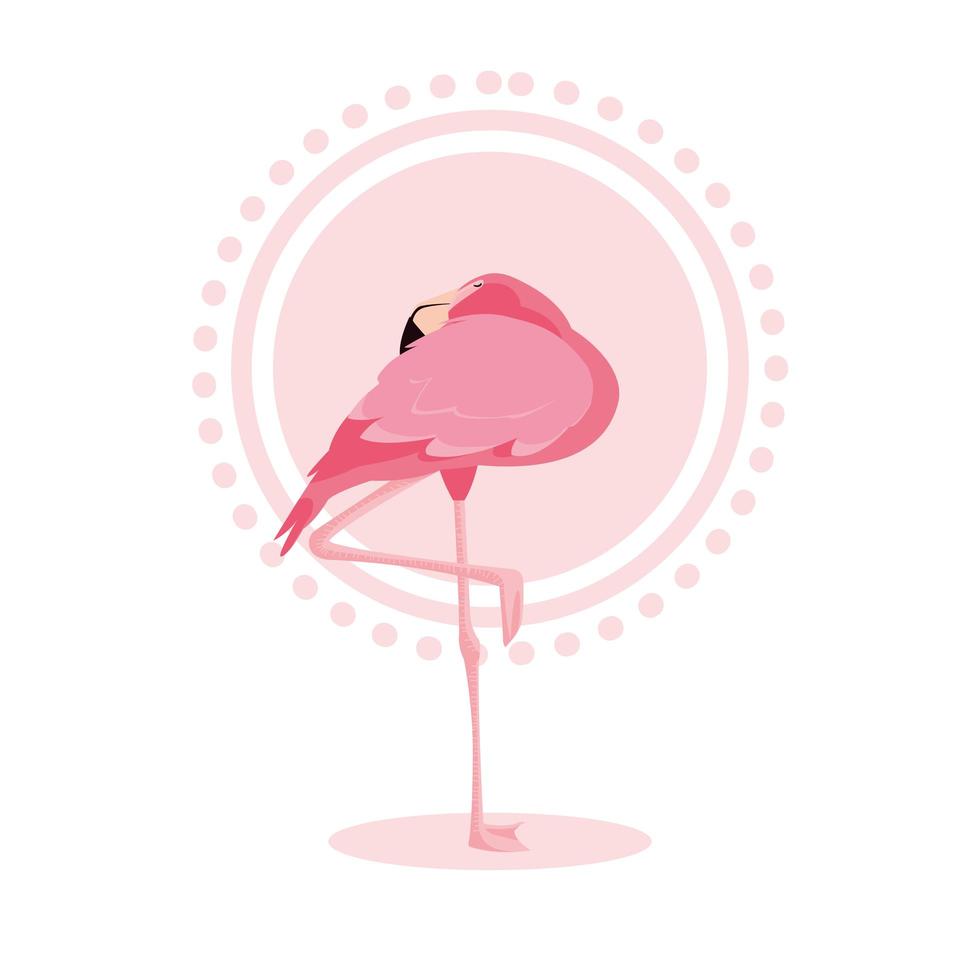 mooie flamingo vogelstandaard vector