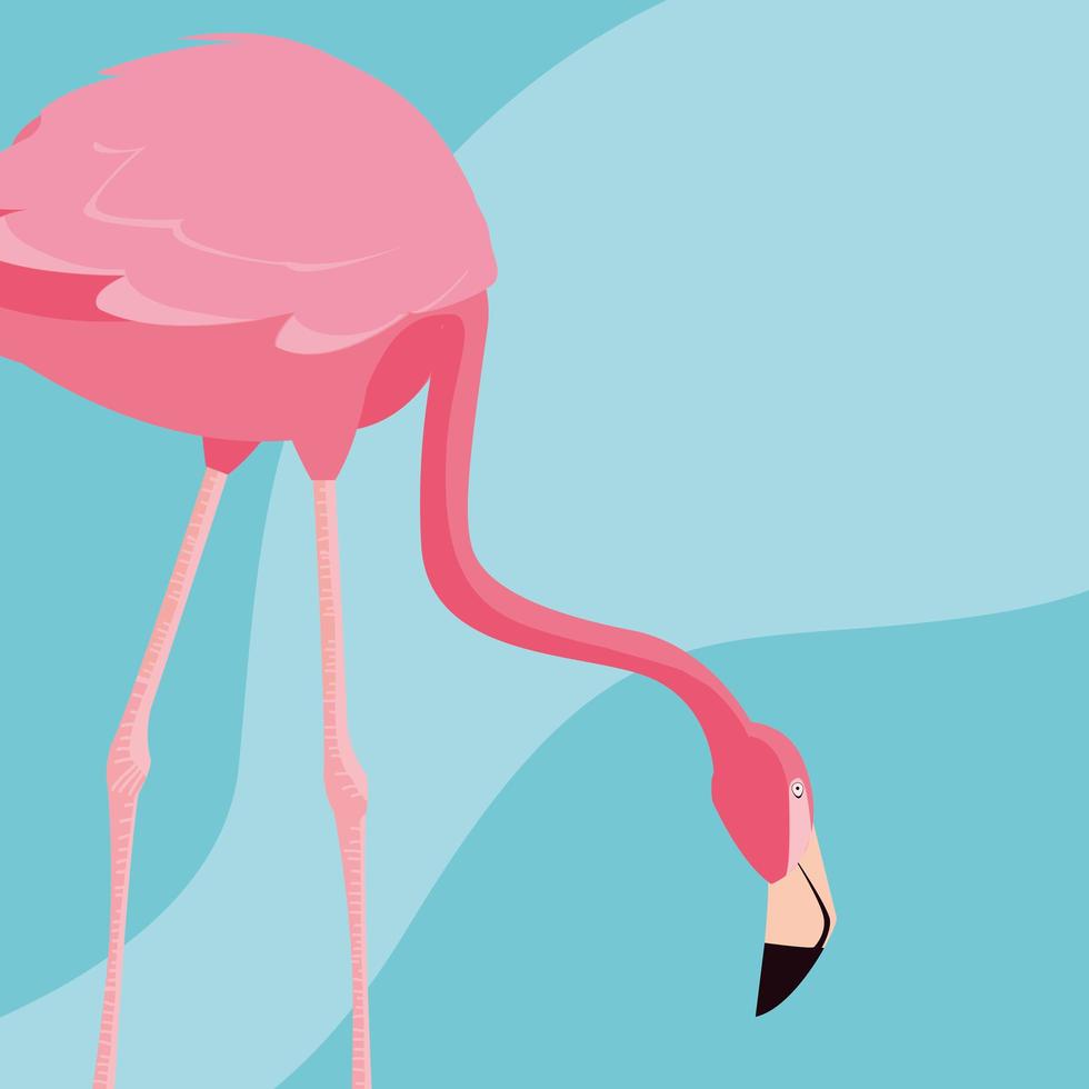 mooie flamingo vogelstandaard vector