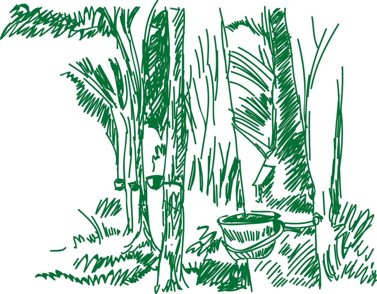 rubber bomen lijn tekening vector illustratie.