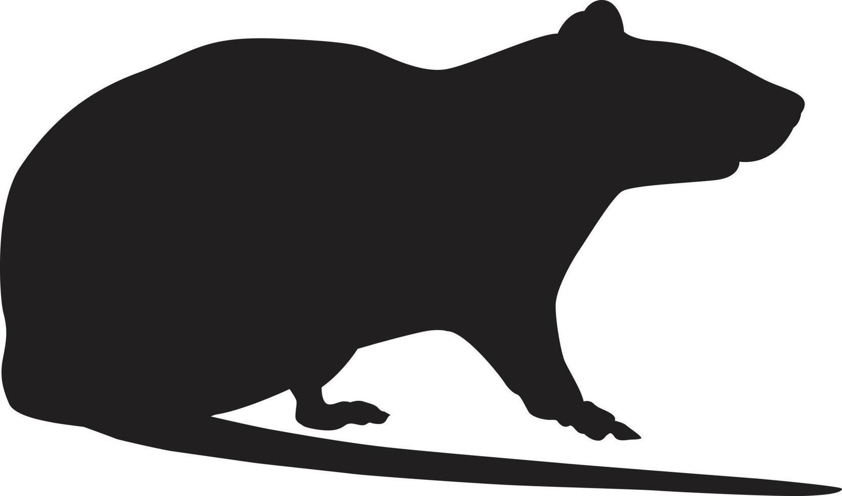 Rat icoon vector illustratie, zwart kleur.