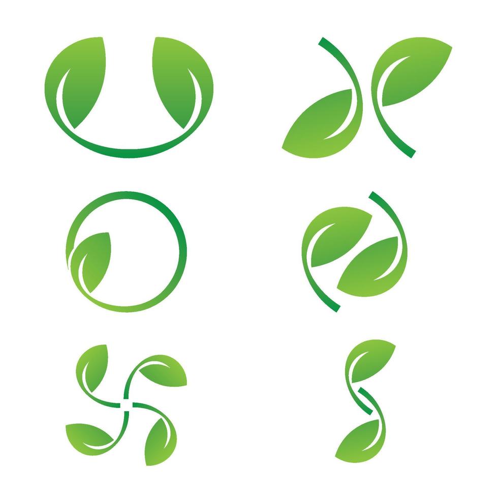 natuur blad logo groen vector