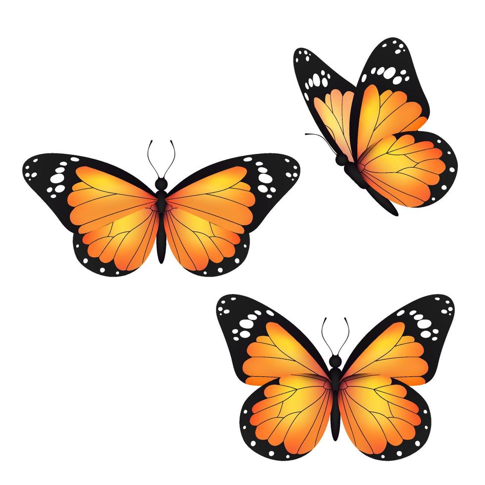 geel realistisch vliegend monarch vlinder reeks Aan een wit achtergrond. vector illustratie. decoratief afdrukken ontwerp. kleurrijk fee Vleugels.