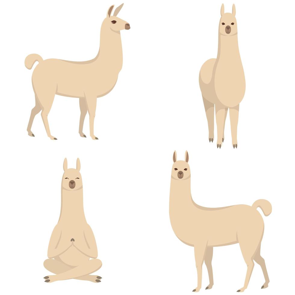 lama in verschillende poses vector