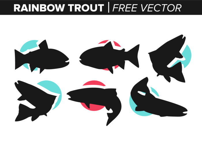 Regenboogforel Gratis Vector