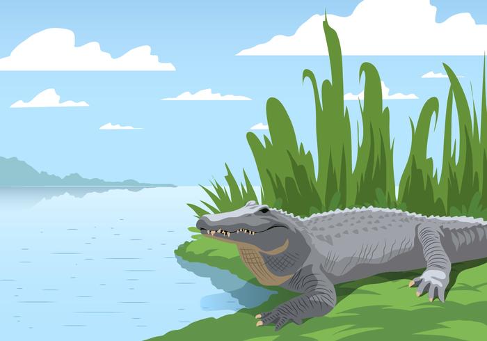 Gator Bij Het Moeras vector