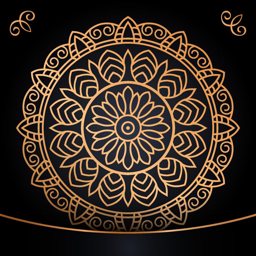 kleurrijk mandala decoratief ornamenten vector