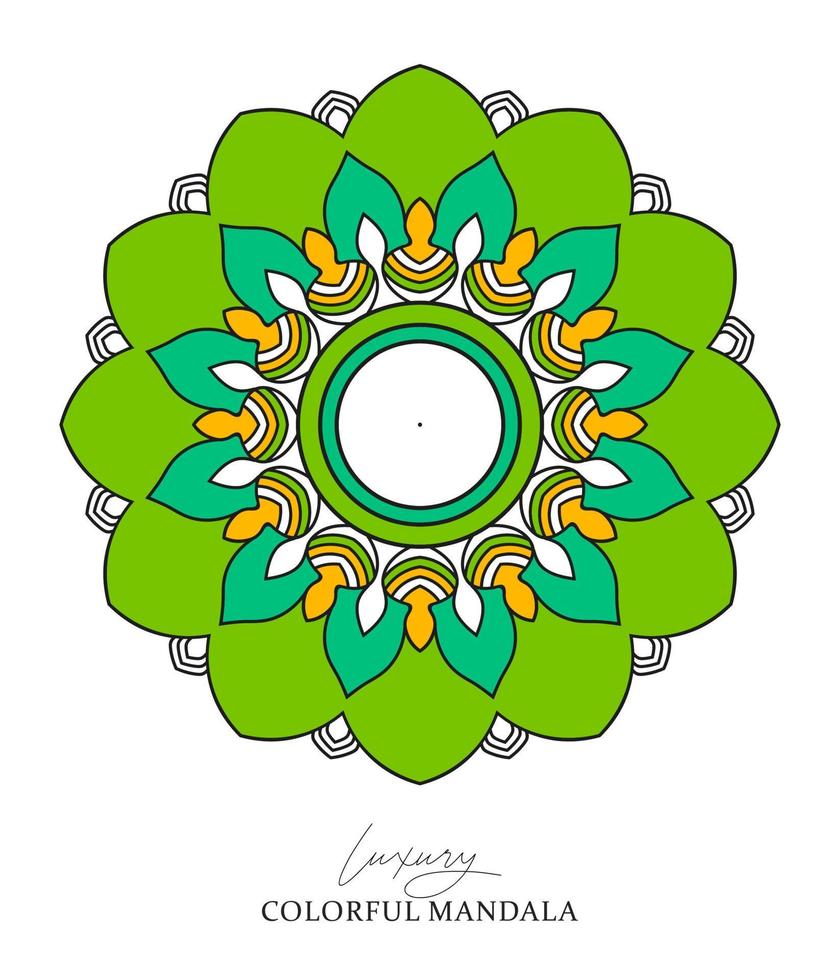 kleurrijk mandala decoratief ornamenten vector