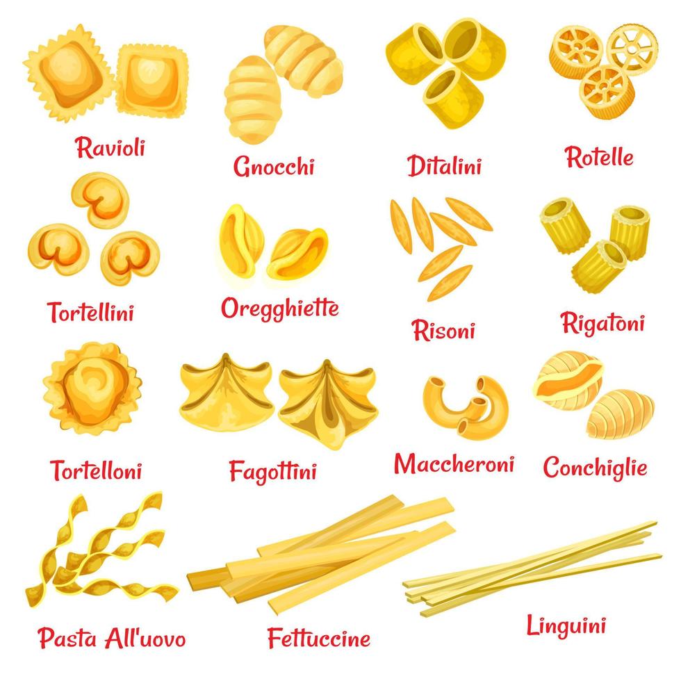 pasta type met naam poster van Italiaans macaroni vector