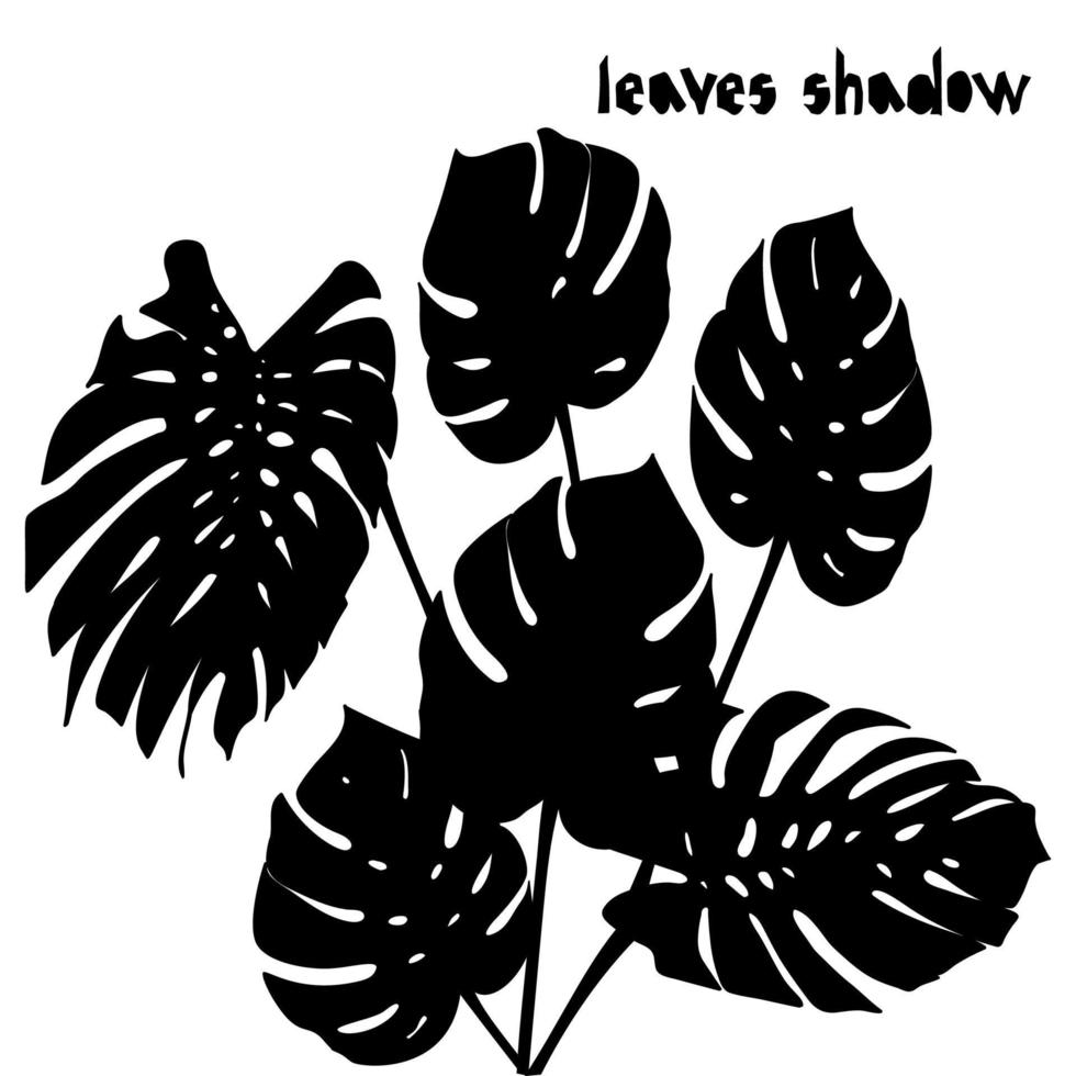 zwart silhouet monstera palm tropisch bladeren geïsoleerd Aan wit achtergrond. schaduw patroon. exotisch ontwerp voor wijnoogst kleding stof textiel, mode, afdrukken, poster vector