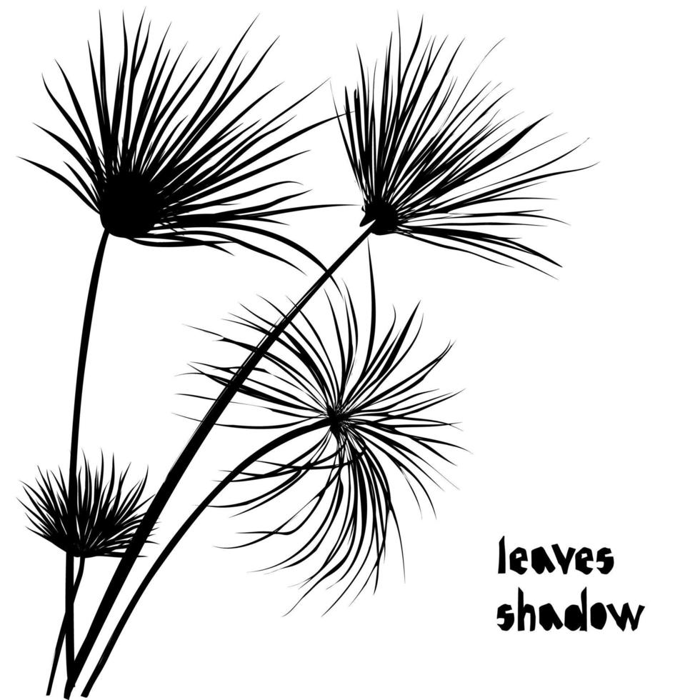 zwart silhouet papyrus palm tropisch bladeren geïsoleerd Aan wit achtergrond. schaduw patroon. exotisch ontwerp voor wijnoogst kleding stof textiel, mode, afdrukken, poster vector