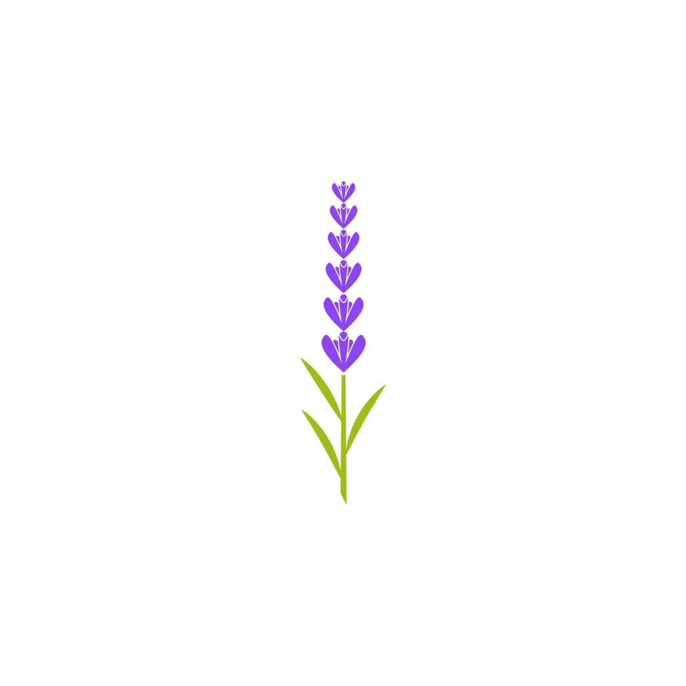 lavendel bloem vector icoon illustratie