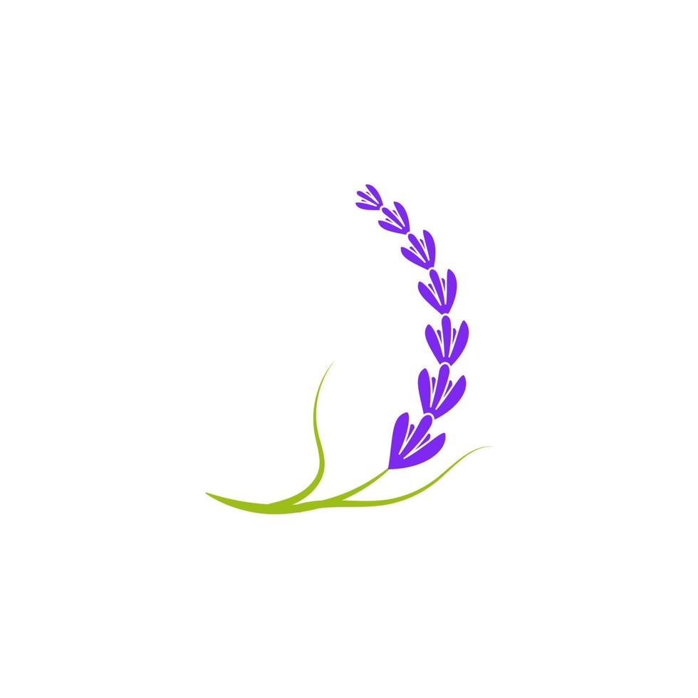 lavendel bloem vector icoon illustratie