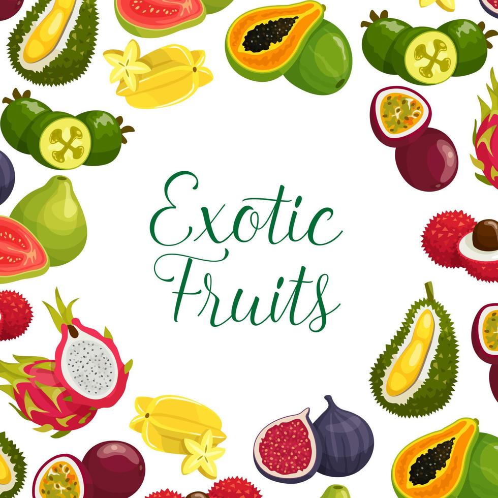 vector poster van exotisch vers tropisch fruit