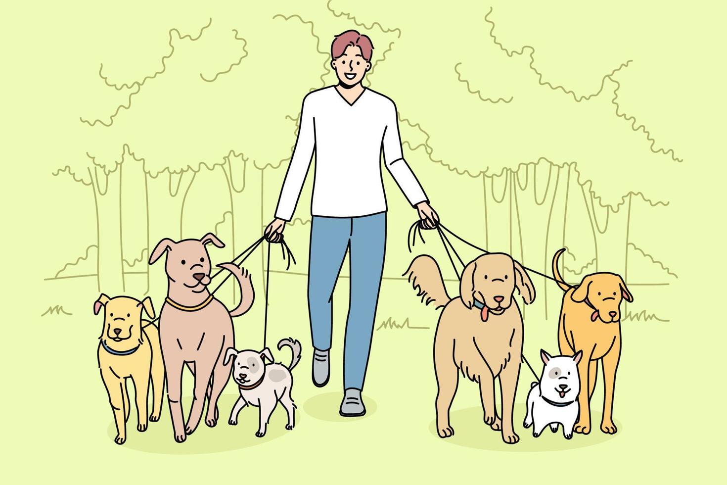 glimlachen Mens wandelen honden Aan leibanden in park. gelukkig mannetje wandelaar voorzien professioneel huisdier wandelen onderhoud. huiselijk dieren zorg concept. vlak vector illustratie.