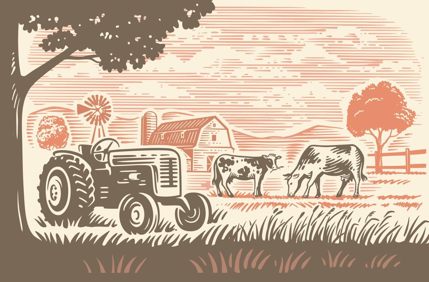 land boerderij met trekker en koeien. platteland lijn schetsen vector