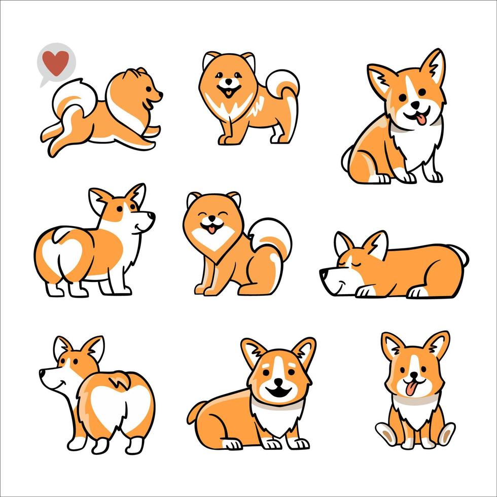 pommeren spits en corgi honden. vector