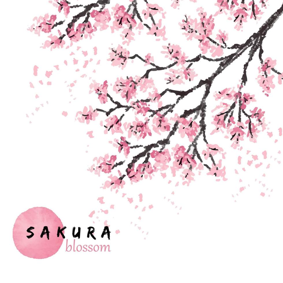sakura Japan kers Afdeling met bloeiend bloemen vector illustratie. hand- getrokken stijl.