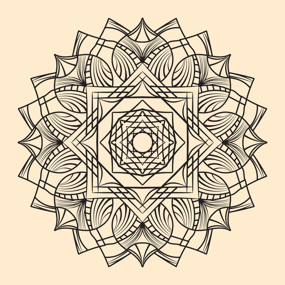 cirkelvormig patroon in de vorm van mandala voor henna, mehndi, tatoeage, decoratie. decoratief ornament in etnische oosterse stijl. kleurboek pagina. vector