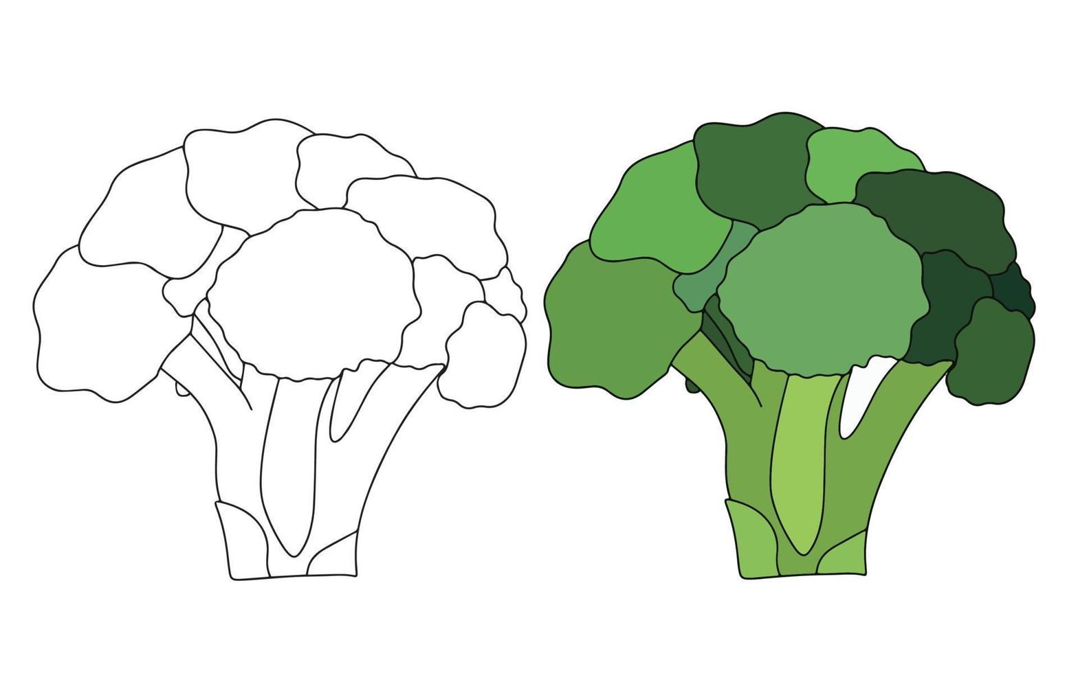 broccoli icoon in zwart lijn en broccoli in vlak stijl. vector