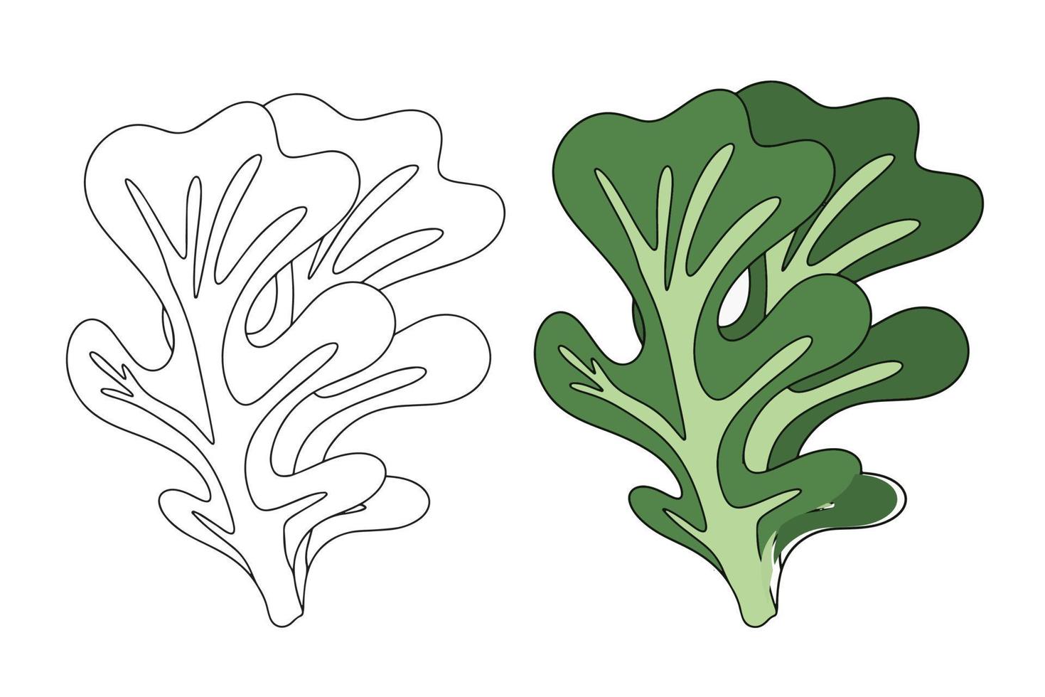 eik blad sla bladeren, gezond biologisch vegetarisch voedsel, vector illustratie Aan een wit achtergrond