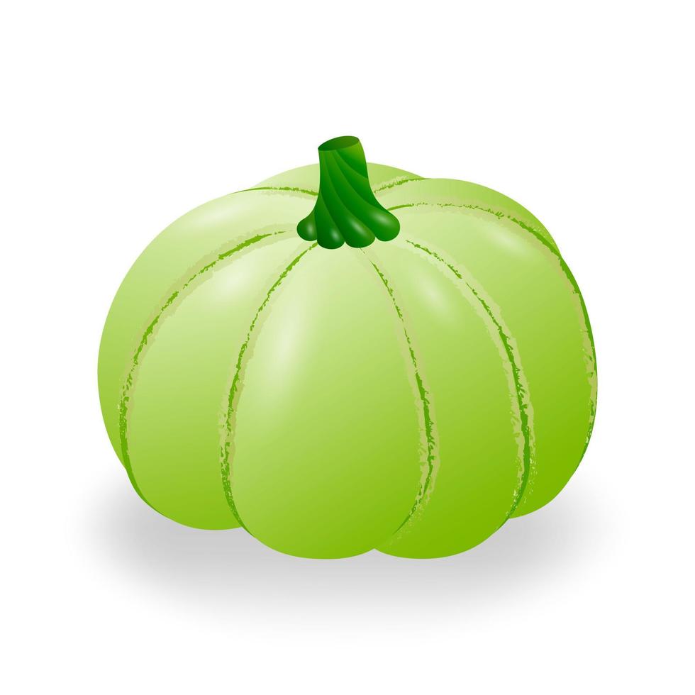 groen herfst ronde pompoen. geïsoleerd Aan een wit achtergrond. vector illustratie.