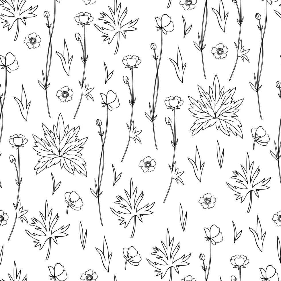 naadloos bloemen patroon boterbloem bloem of kraaienpoot vector illustratie geïsoleerd Aan wit achtergrond, decoratief kruiden textuur, lijn kunst backdrop voor ontwerp geneesmiddel, bruiloft uitnodiging, schoonheidsmiddelen
