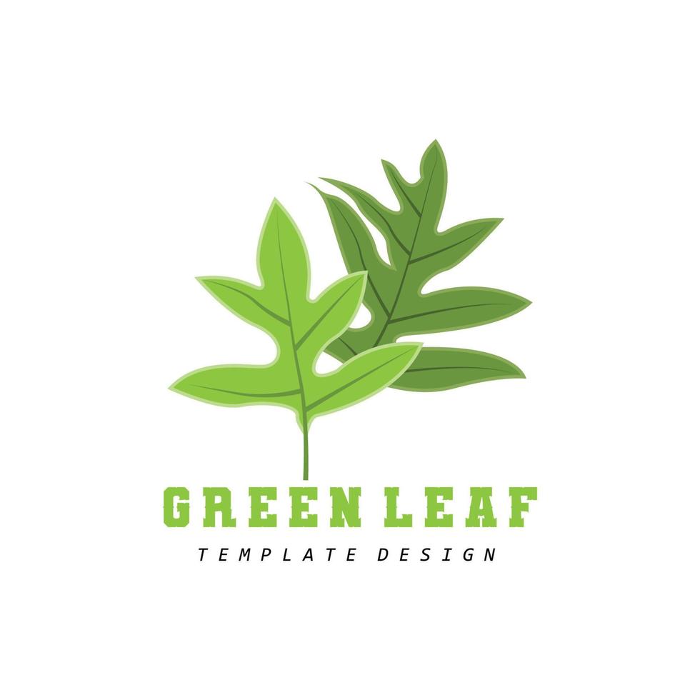 blad logo groen fabriek ontwerp bladeren van bomen Product merk sjabloon illustratie vector