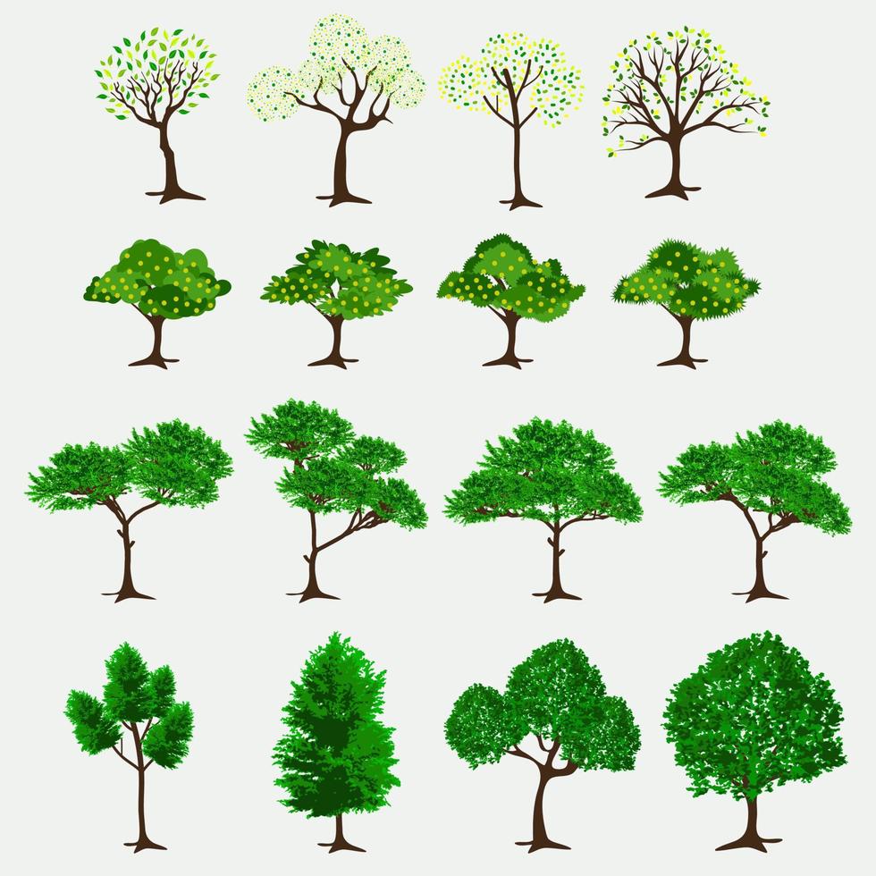 bomen illustratie ontwerp bundel. natuur kunst vector