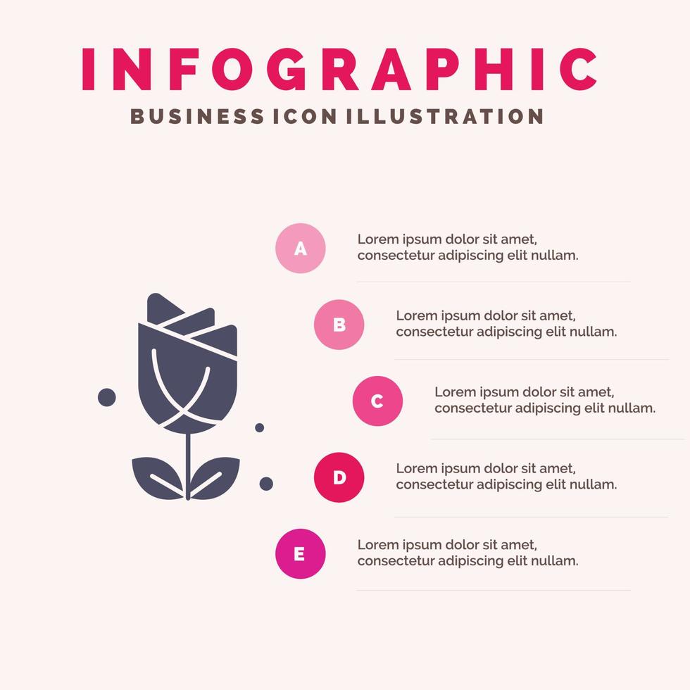 bloem Amerikaans Verenigde Staten van Amerika fabriek solide icoon infographics 5 stappen presentatie achtergrond vector