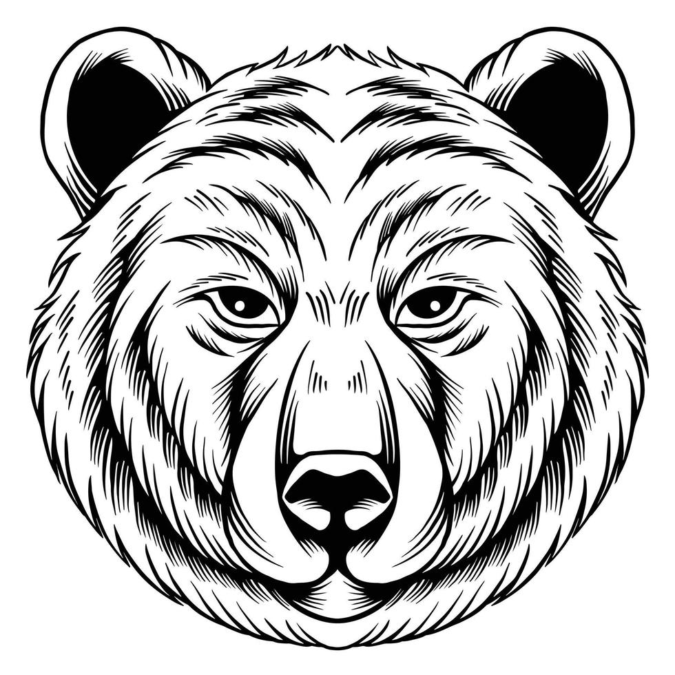 zwart en wit hand- tekening beer hoofd. illustratie vector. vector