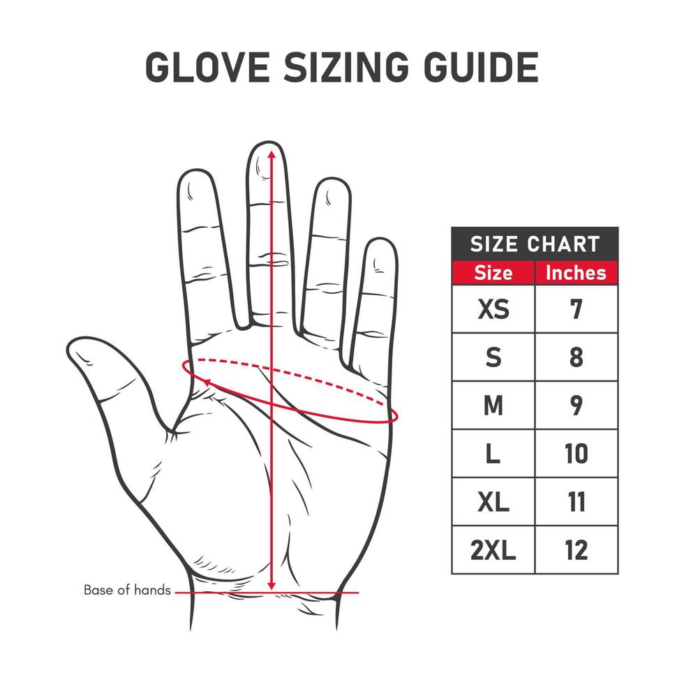 hand- getrokken illustratie van hand- handschoen maatvoering gids en grafieken vector