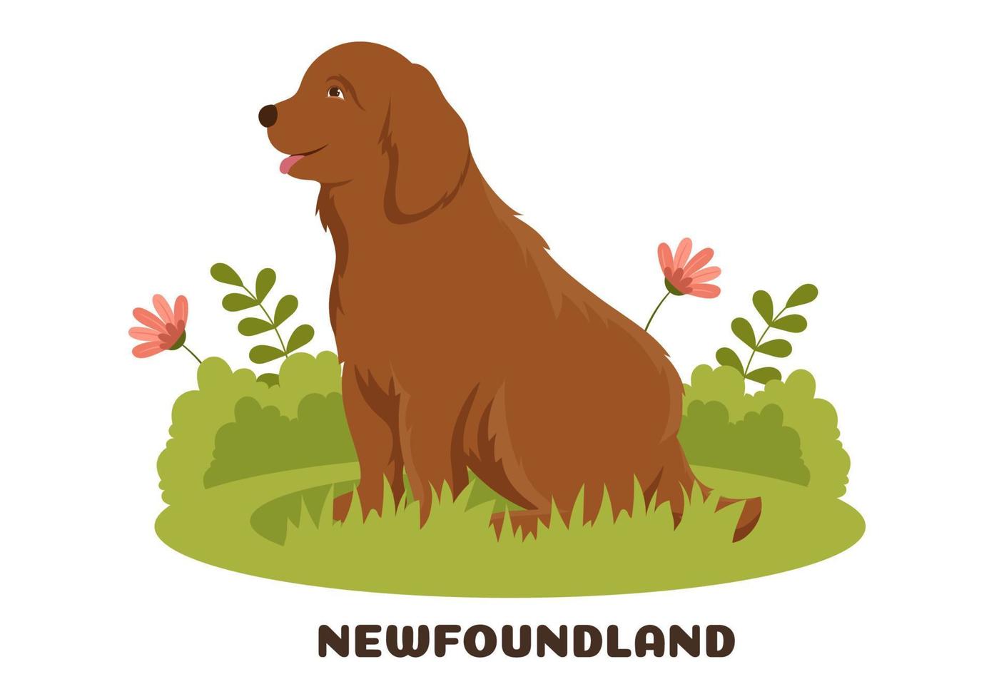 Newfoundland hond dieren met zwart, bruin of landseer kleur in vlak stijl schattig tekenfilm sjabloon hand- getrokken illustratie vector