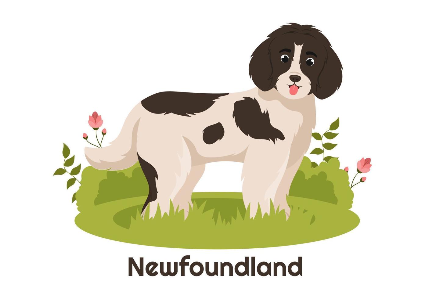 Newfoundland hond dieren met zwart, bruin of landseer kleur in vlak stijl schattig tekenfilm sjabloon hand- getrokken illustratie vector