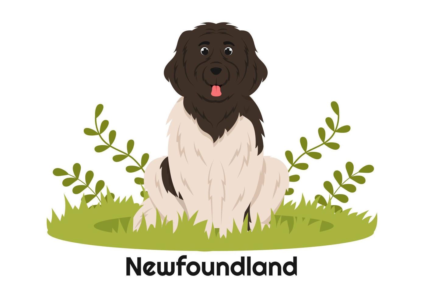 Newfoundland hond dieren met zwart, bruin of landseer kleur in vlak stijl schattig tekenfilm sjabloon hand- getrokken illustratie vector