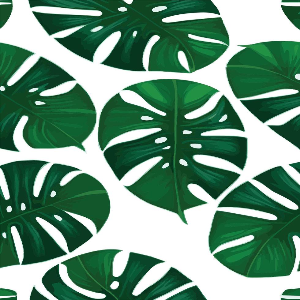 groen monstera patroon wit achtergrond. exotisch patroon met tropisch bladeren. vector illustratie. monstera blad patroon. tropisch palm bladeren. exotisch ontwerp kleding stof, textiel afdrukken, omhulsel papier