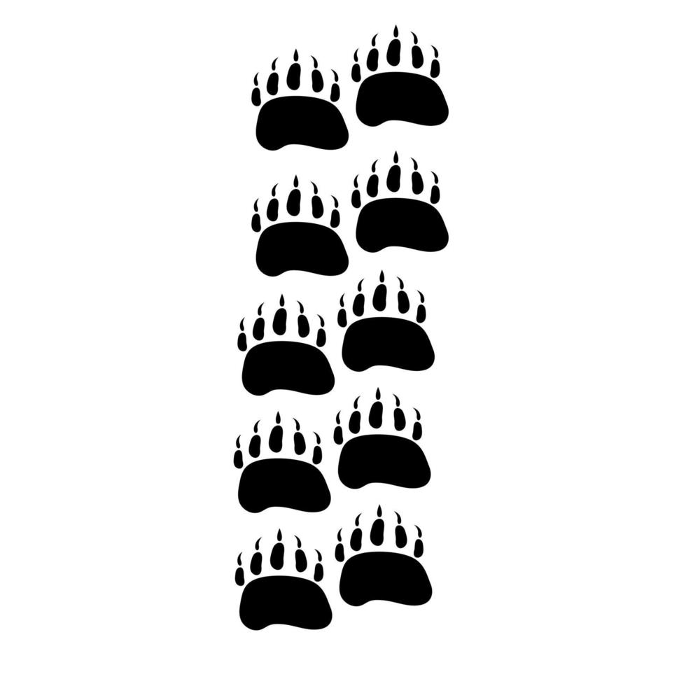 zwart beer voetafdrukken. vector illustratie