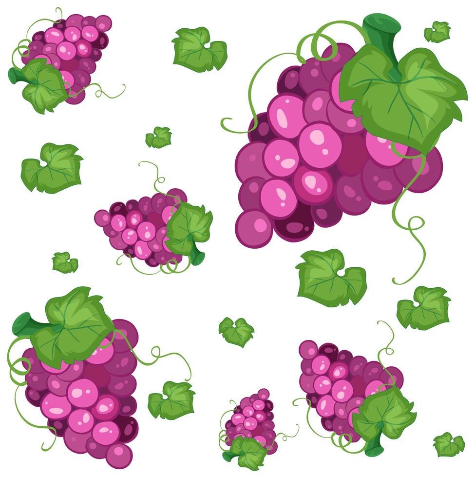 naadloze patroon achtergrond met paarse druiven vector