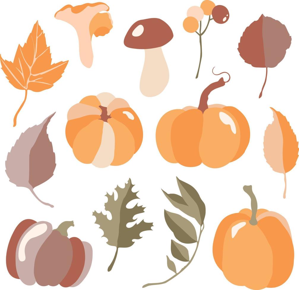 reeks van herfst bladeren en pompoenen. vallen set. vector illustratie.